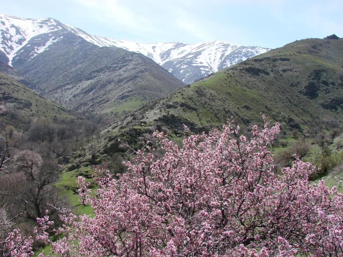 Hayat Guesthouse Nuratau Mountains Yukary-Ukhum Exterior photo